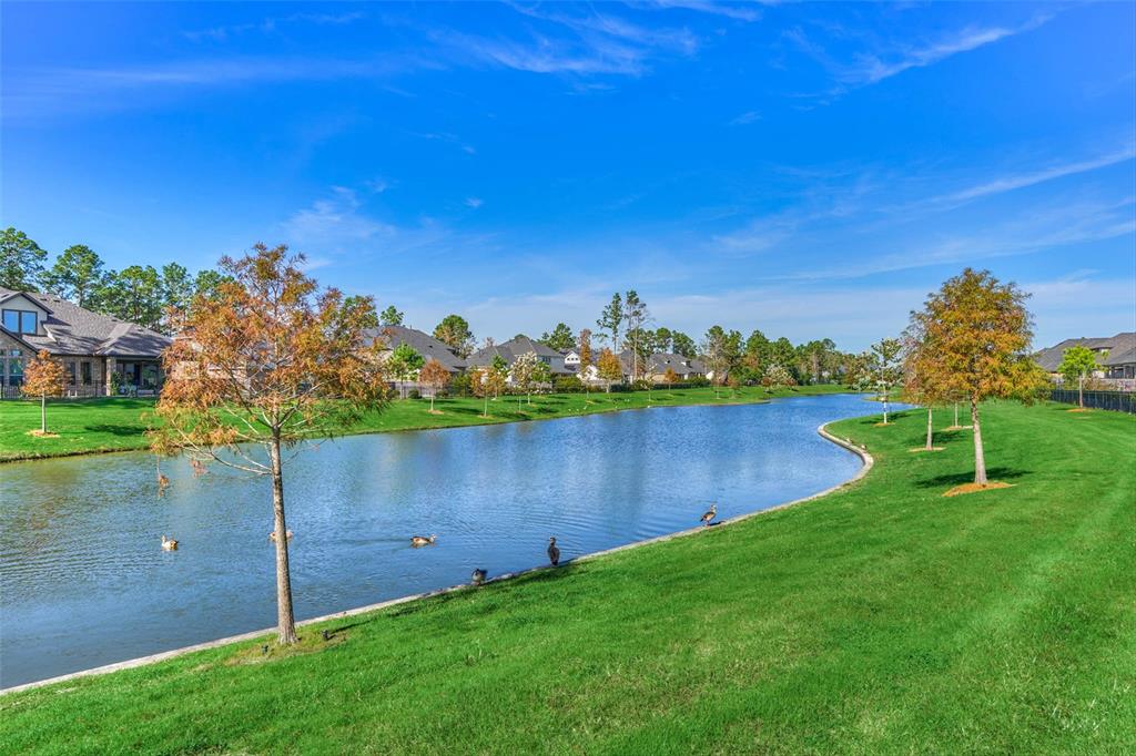 10660 Red Tail Place, Conroe, Texas image 44