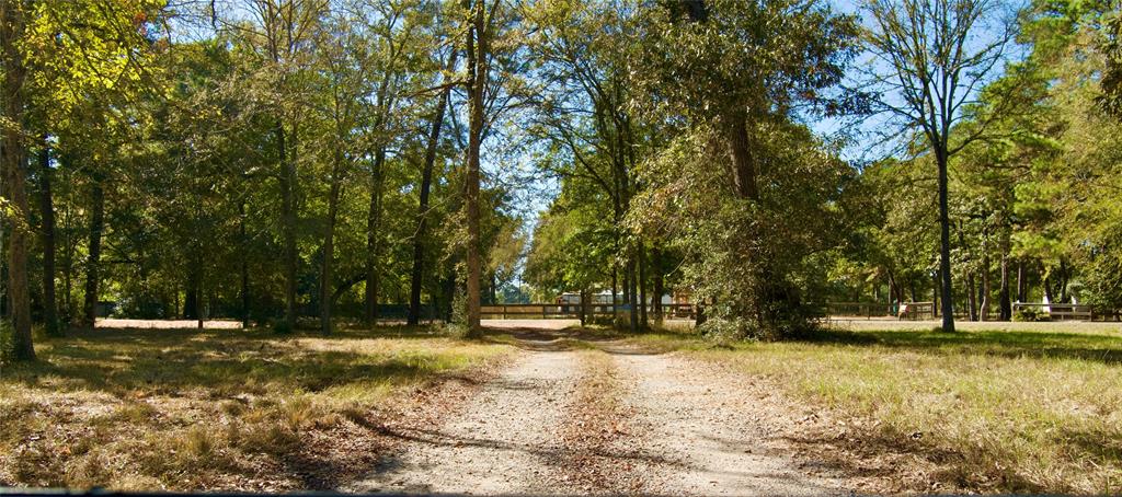 27228 Tepee Trail Trl, Hockley, Texas image 24