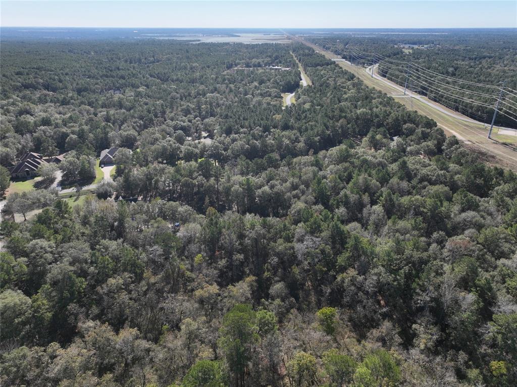 TBD TBD Horseshoe Bend, Waller, Texas image 3