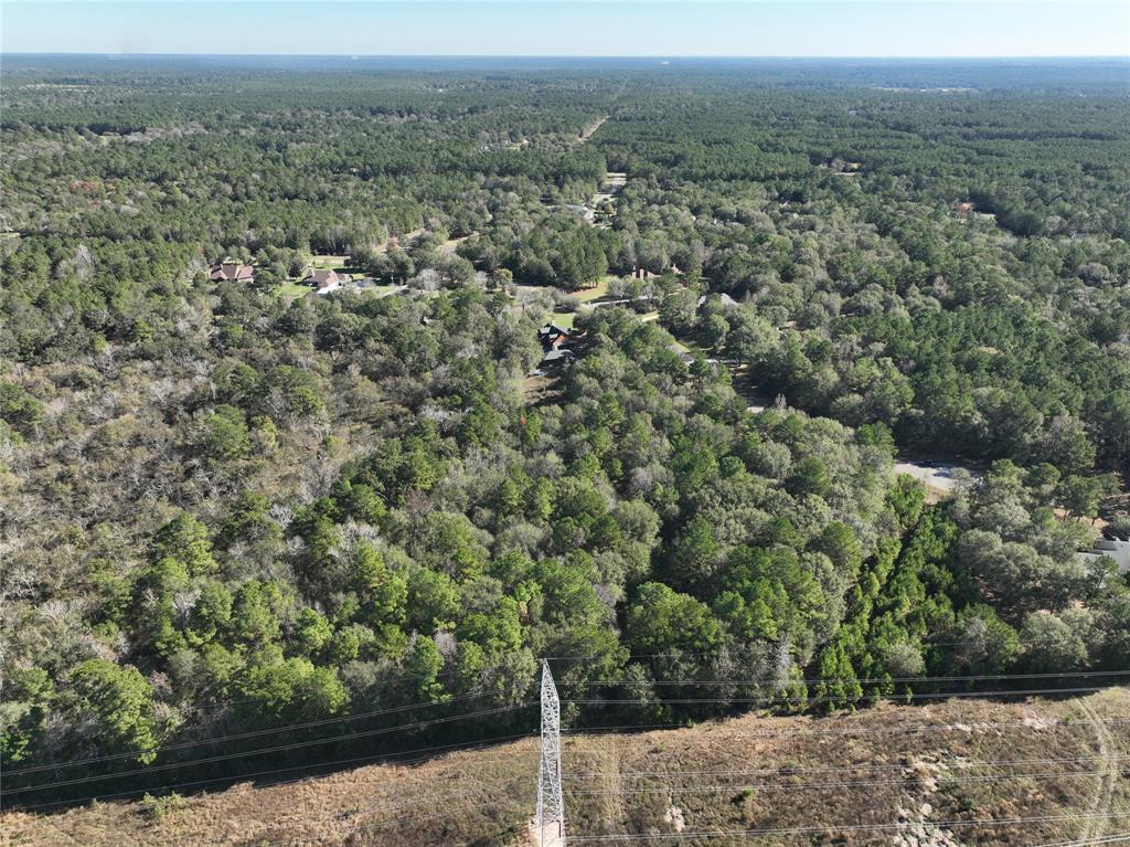 TBD TBD Horseshoe Bend, Waller, Texas image 5