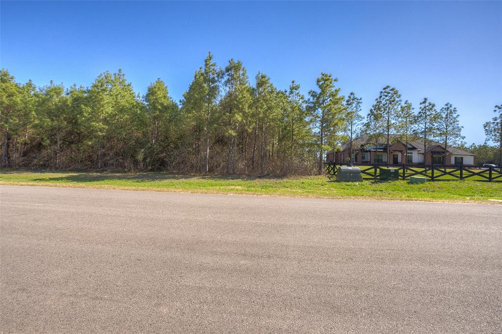 15675 Ridge Rock Road, Willis, Texas image 7