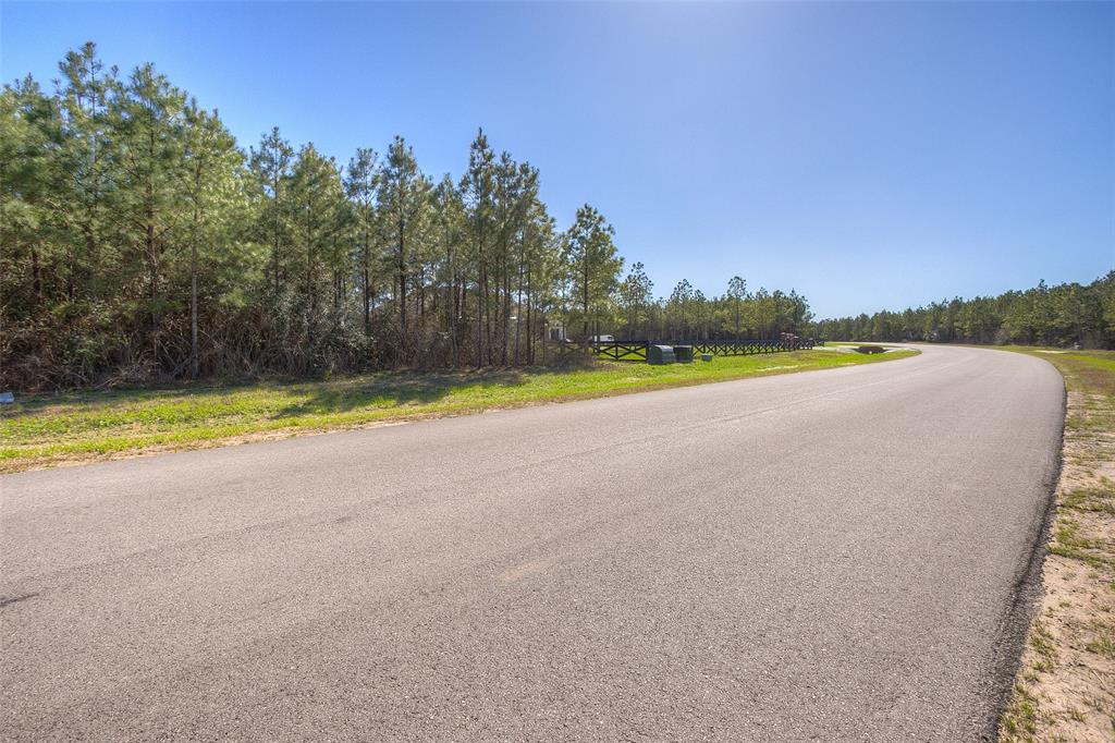 15675 Ridge Rock Road, Willis, Texas image 4