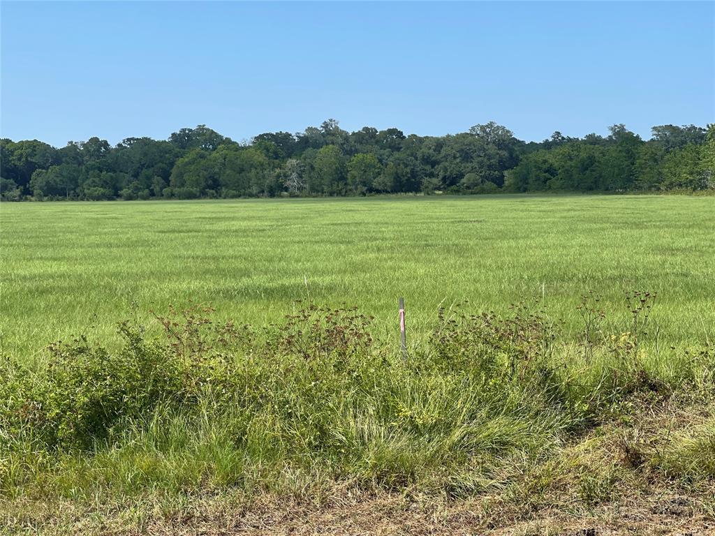 00 1462, Damon, Texas image 3