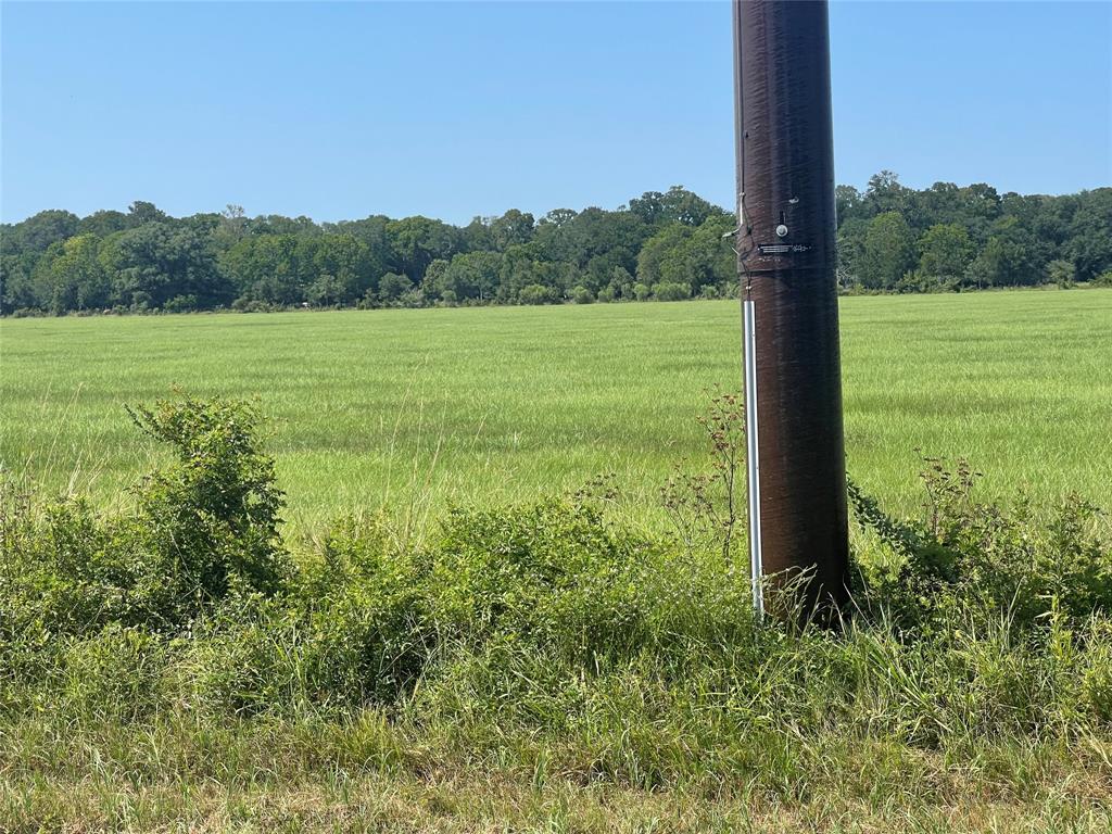 00 1462, Damon, Texas image 1