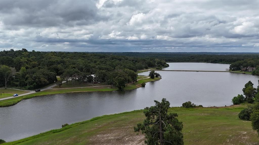 Lts 94-97 Springview Lane, Hilltop Lakes, Texas image 8