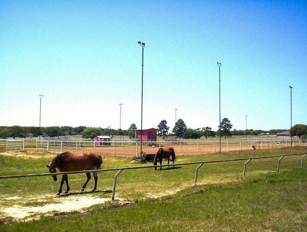 Lts 94-97 Springview Lane, Hilltop Lakes, Texas image 7