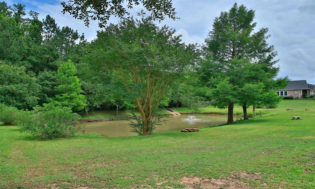 1792 Canyon Lake Creek Drive, Conroe, Texas image 34
