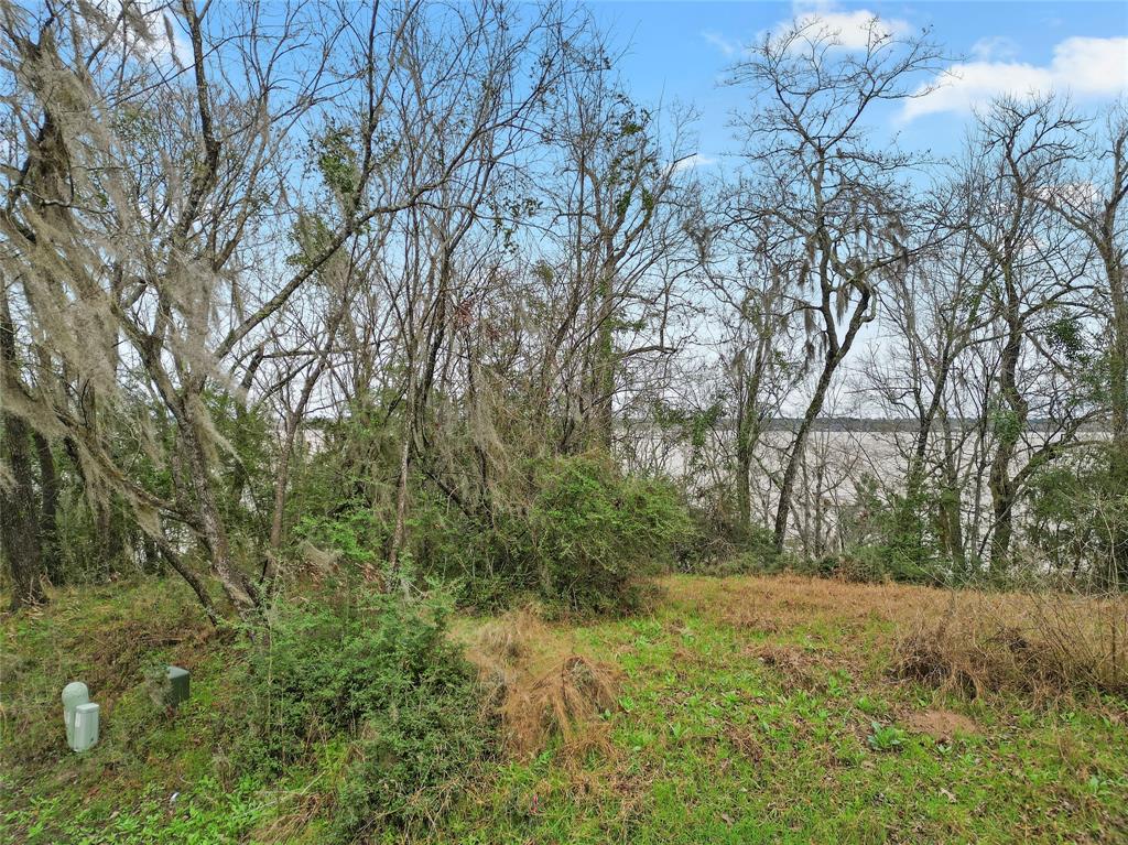 20327 Belair Drive, Huntsville, Texas image 4