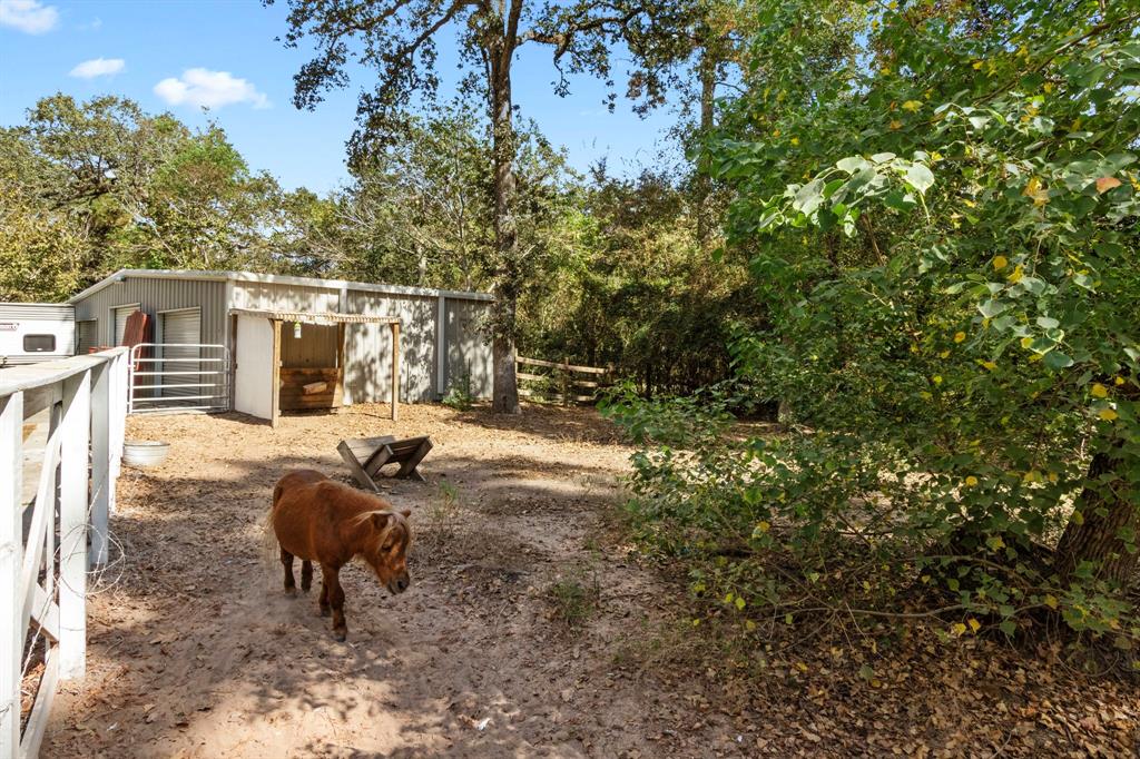 21802 Lindheimer Road, Hockley, Texas image 38