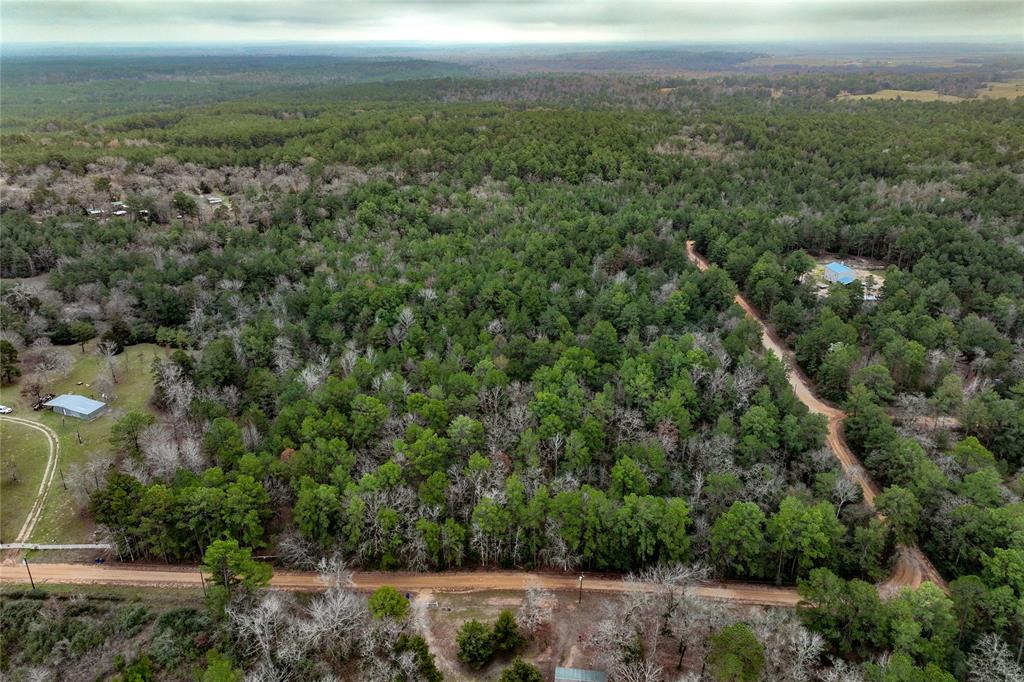 Cr 2096, Crockett, Texas image 8