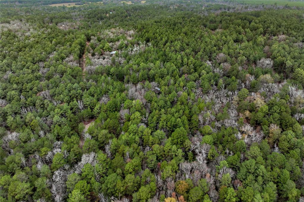 Cr 2096, Crockett, Texas image 14