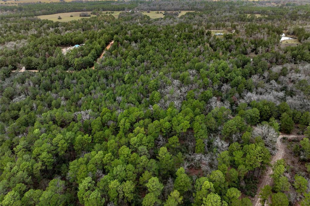 Cr 2096, Crockett, Texas image 18