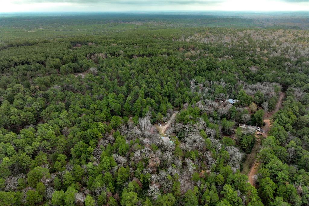 Cr 2096, Crockett, Texas image 10