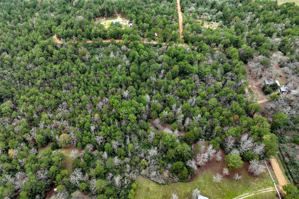 Cr 2096, Crockett, Texas image 2