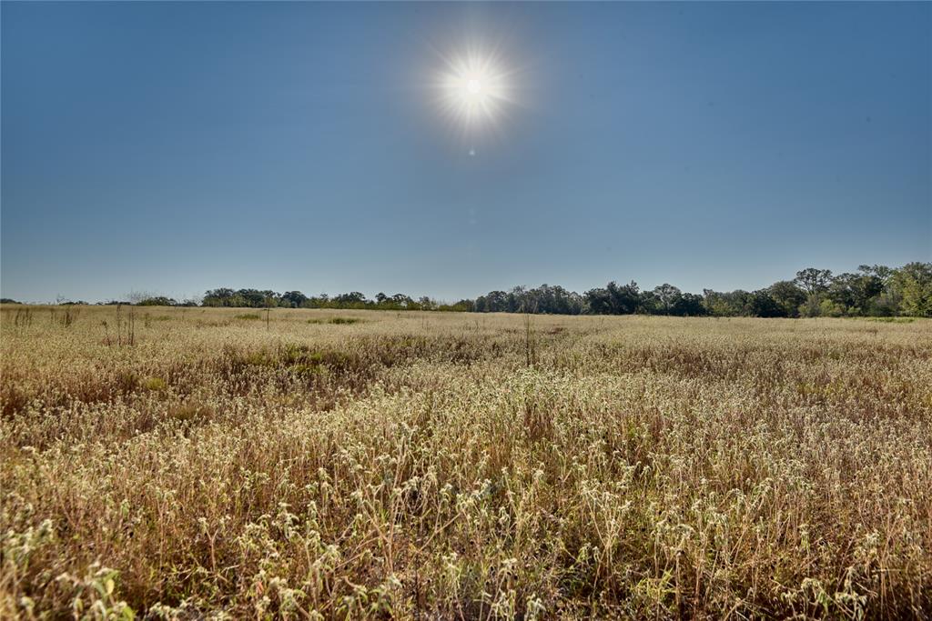 1879 County Road 413, Somerville, Texas image 6