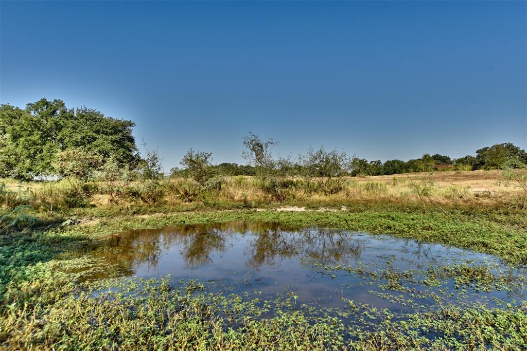 1879 County Road 413, Somerville, Texas image 14