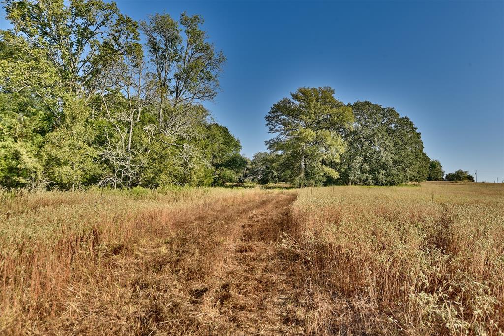 1879 County Road 413, Somerville, Texas image 7