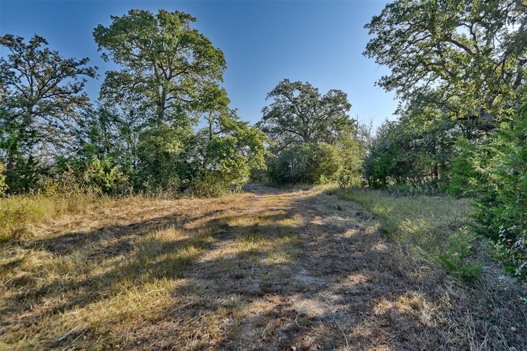 1879 County Road 413, Somerville, Texas image 11