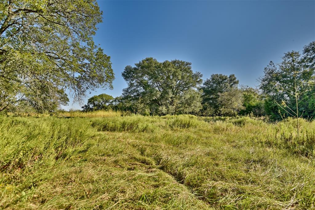 1879 County Road 413, Somerville, Texas image 9