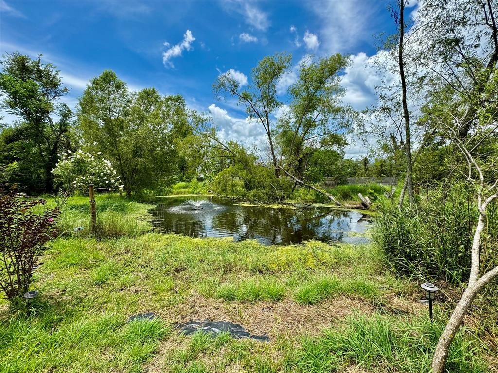 4744 County Road 506, Brazoria, Texas image 32