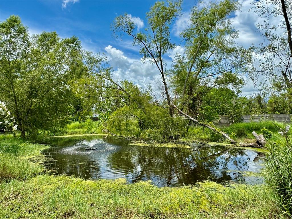 4744 County Road 506, Brazoria, Texas image 37