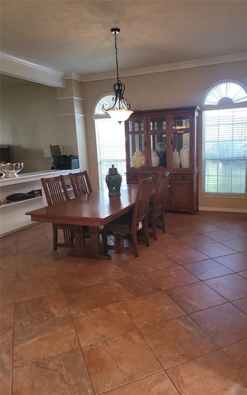 3501 Carson Court, Pearland, Texas image 6