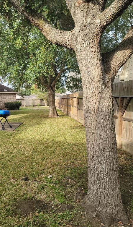 3501 Carson Court, Pearland, Texas image 25