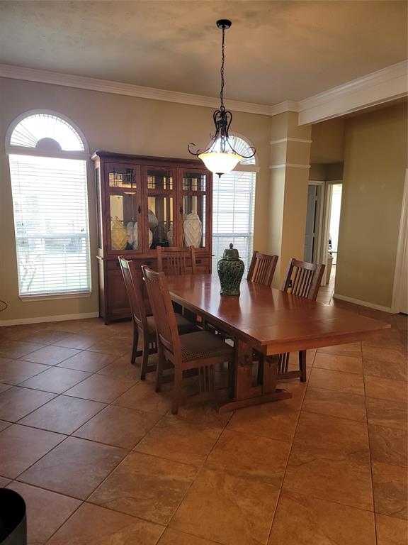 3501 Carson Court, Pearland, Texas image 8