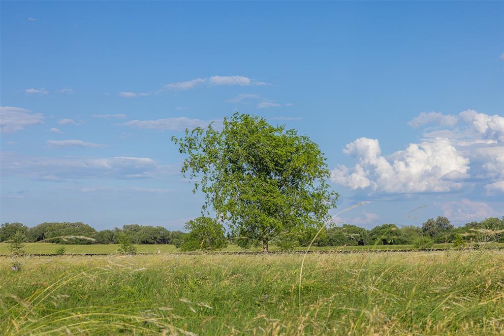 5019 Hartfield Rd - Tract 8 Rd, Round Top, Texas image 6