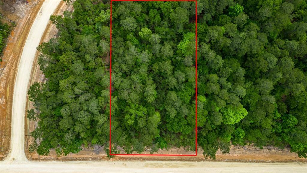 15583 Wood Grove Way, Willis, Texas image 4