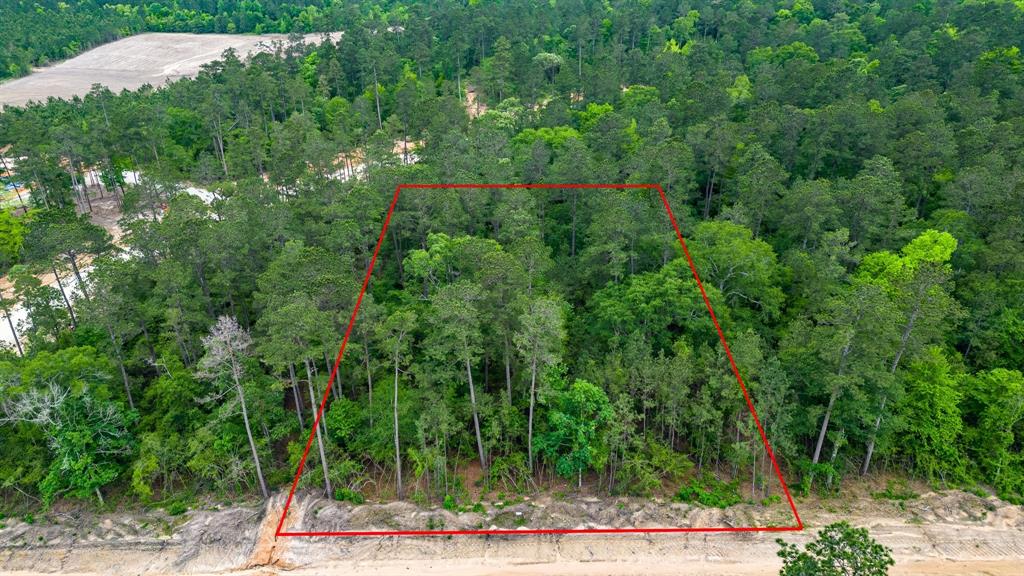 15583 Wood Grove Way, Willis, Texas image 2