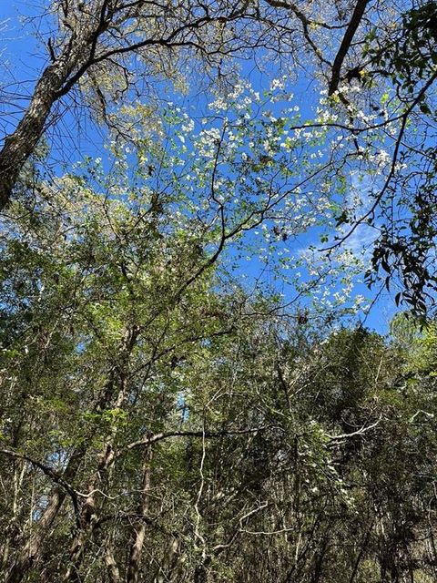 Photo of 238 Sky Oak Lane, Huntsville, TX 77340 (MLS # 84801810)
