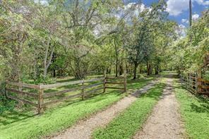 2711 Mckeever Road, Rosharon, Texas image 6