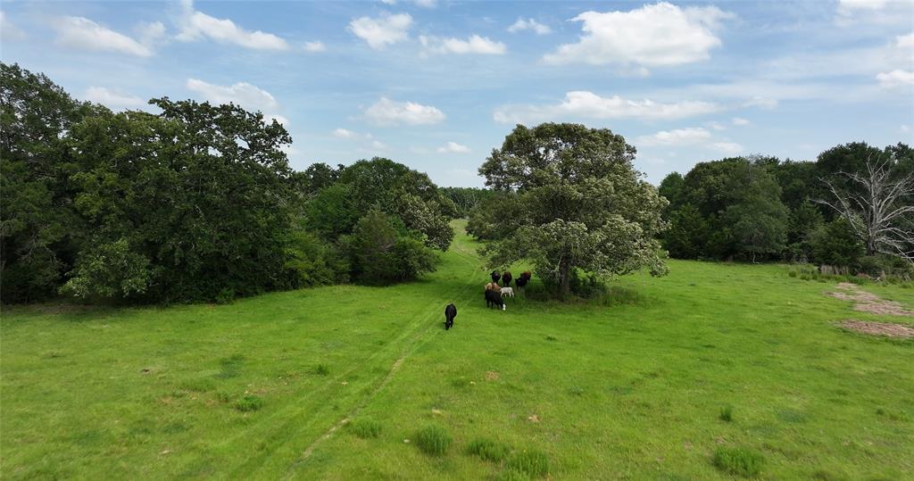 27296 Rock Island Road, Hempstead, Texas image 4