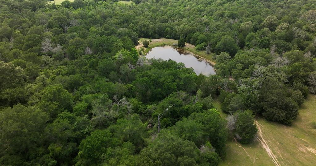 27296 Rock Island Road, Hempstead, Texas image 7