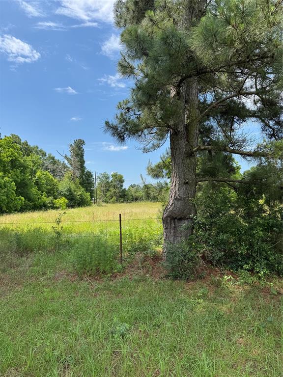 27296 Rock Island Road, Hempstead, Texas image 15