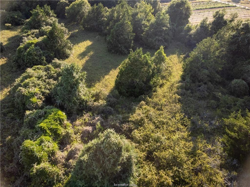 3 Acres Private Road 2019, Caldwell, Texas image 3