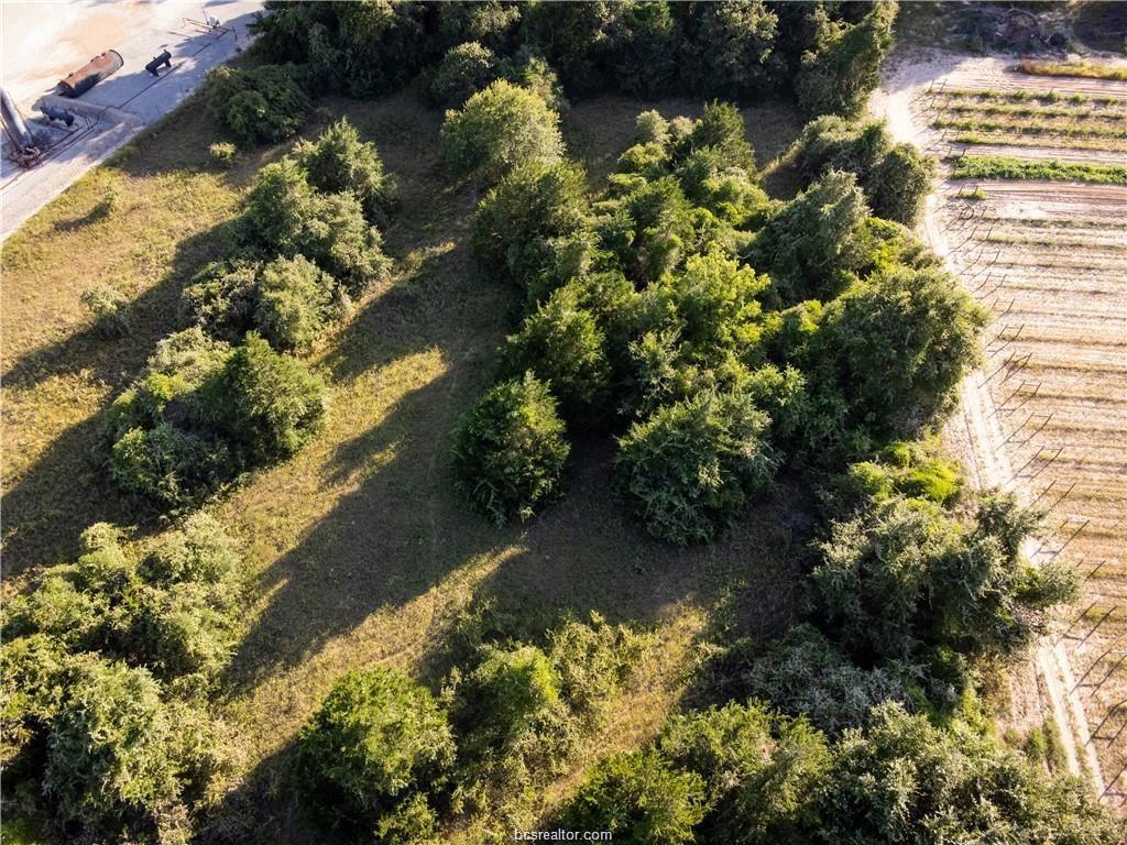 3 Acres Private Road 2019, Caldwell, Texas image 10