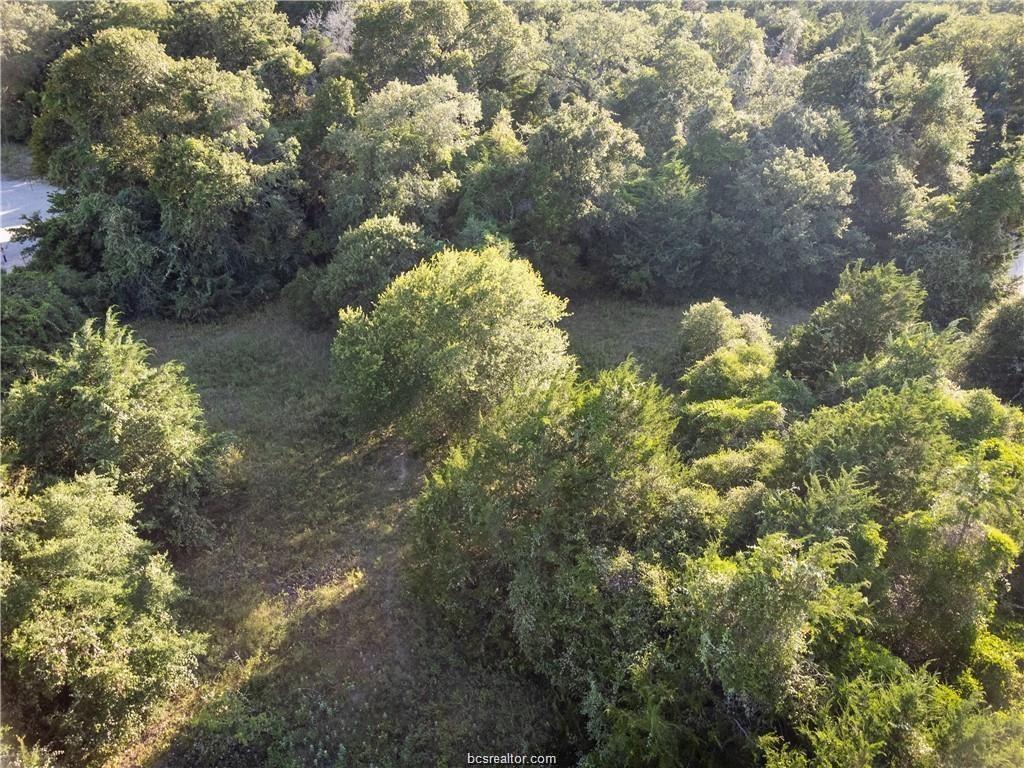 3 Acres Private Road 2019, Caldwell, Texas image 2