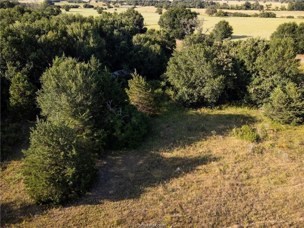 3 Acres Private Road 2019, Caldwell, Texas image 6