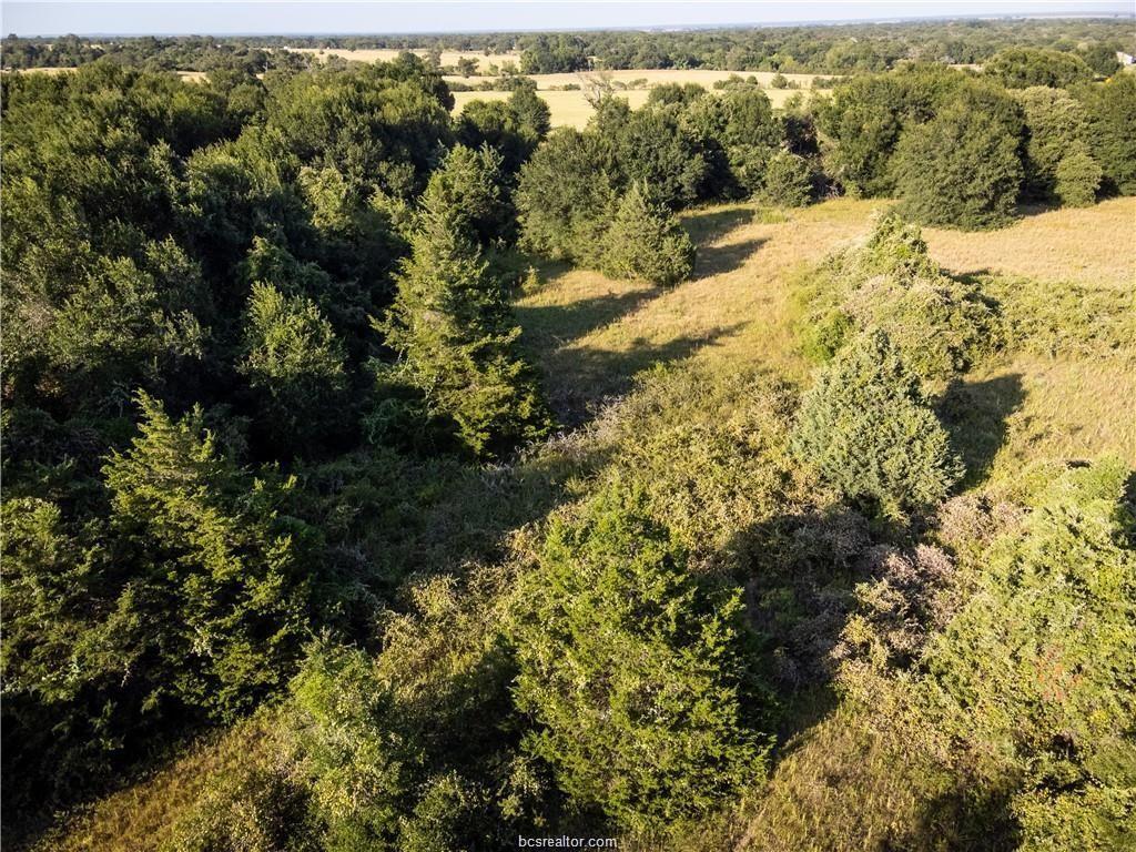 3 Acres Private Road 2019, Caldwell, Texas image 11