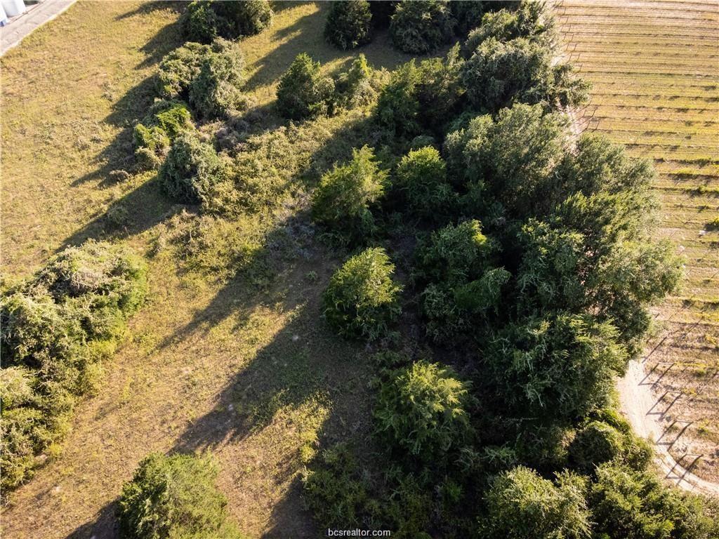 3 Acres Private Road 2019, Caldwell, Texas image 7