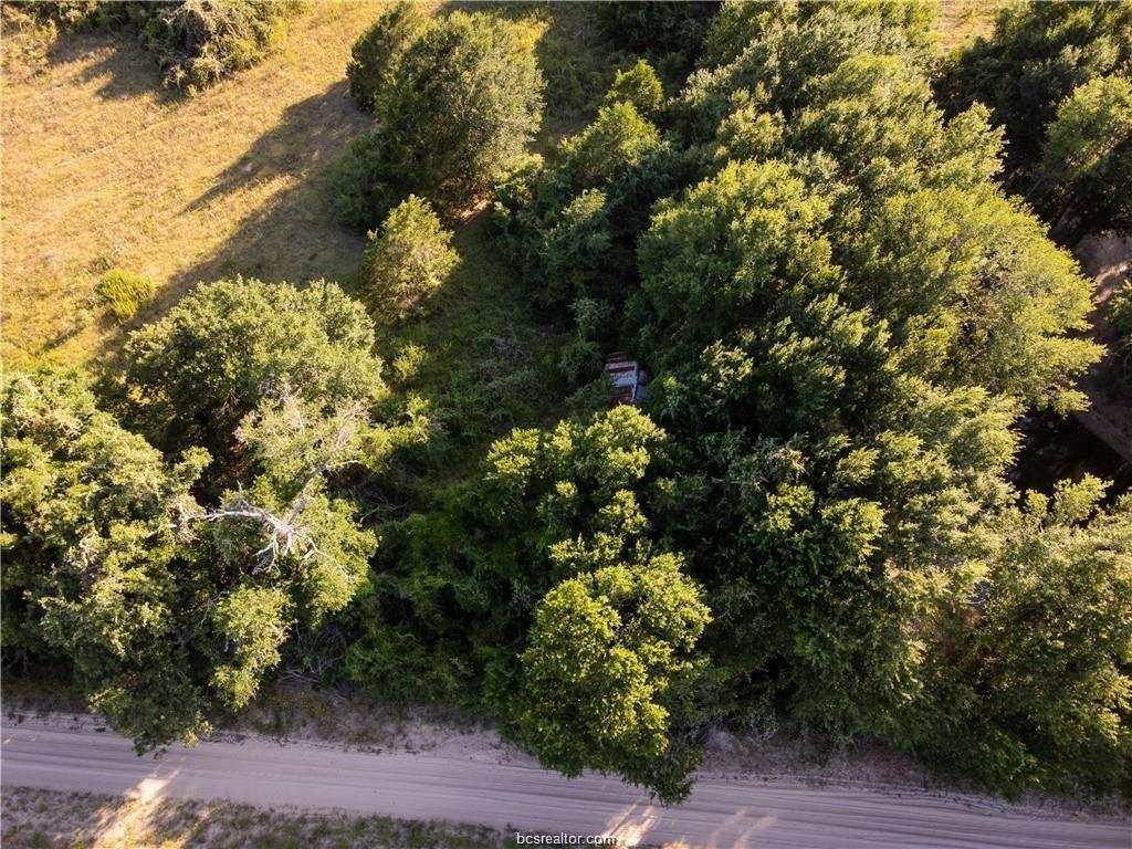 3 Acres Private Road 2019, Caldwell, Texas image 9