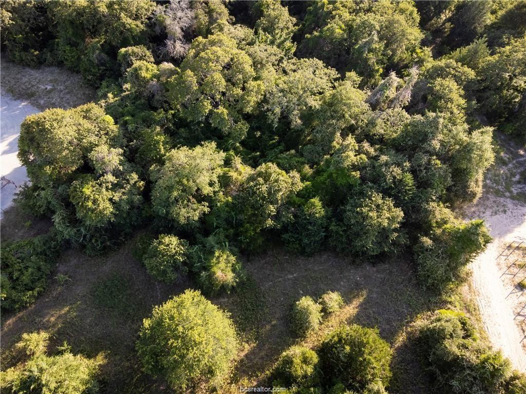 3 Acres Private Road 2019, Caldwell, Texas image 8