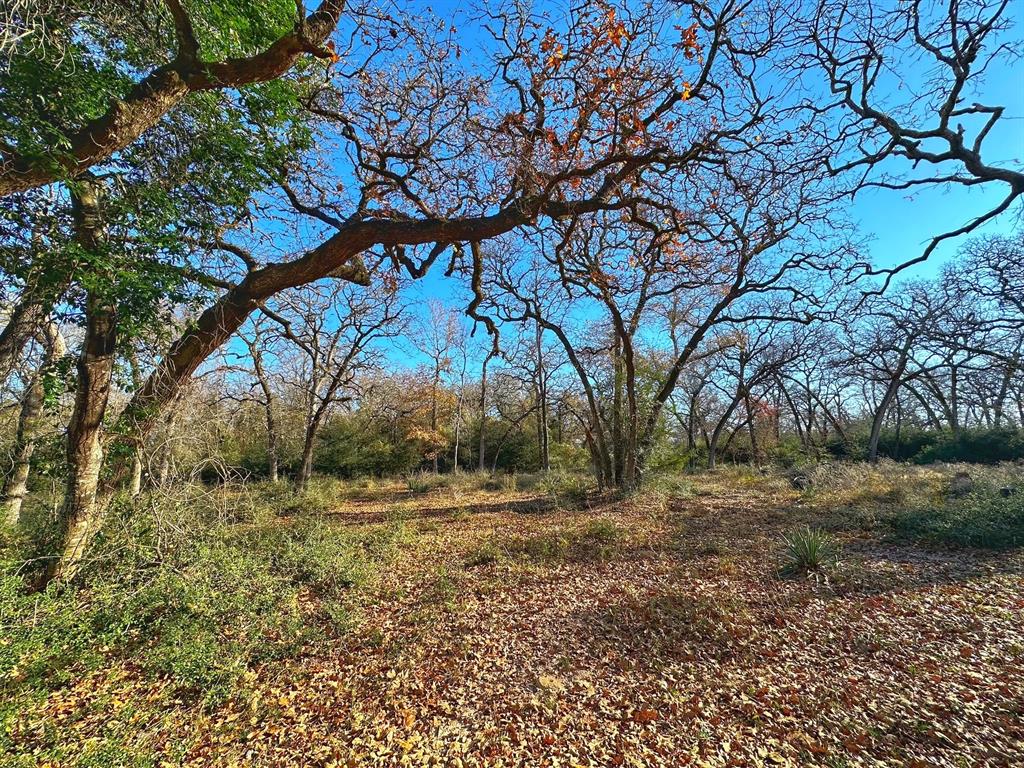 2854 Cr 476, Centerville, Texas image 33