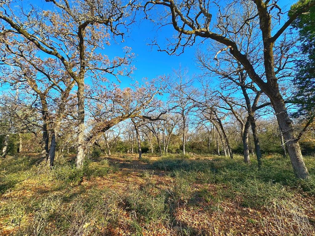 2854 Cr 476, Centerville, Texas image 32