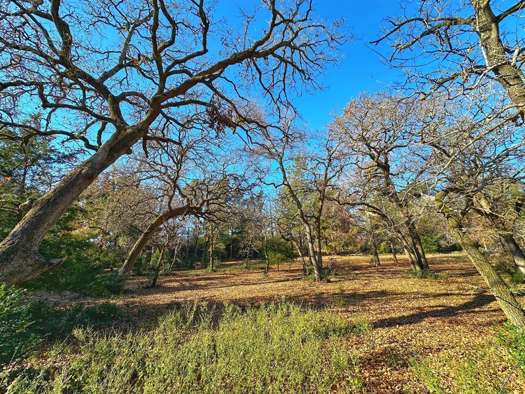 2854 Cr 476, Centerville, Texas image 27