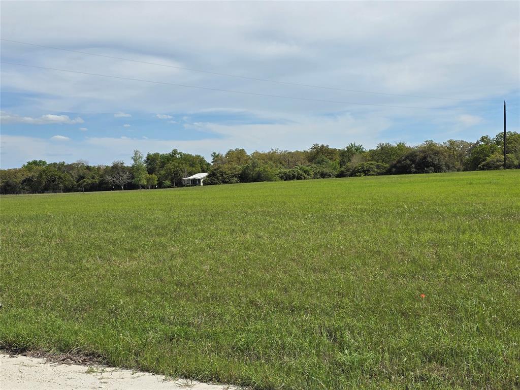 13751 County Rd 470 13751 County Rd 470, Normangee, Texas image 9