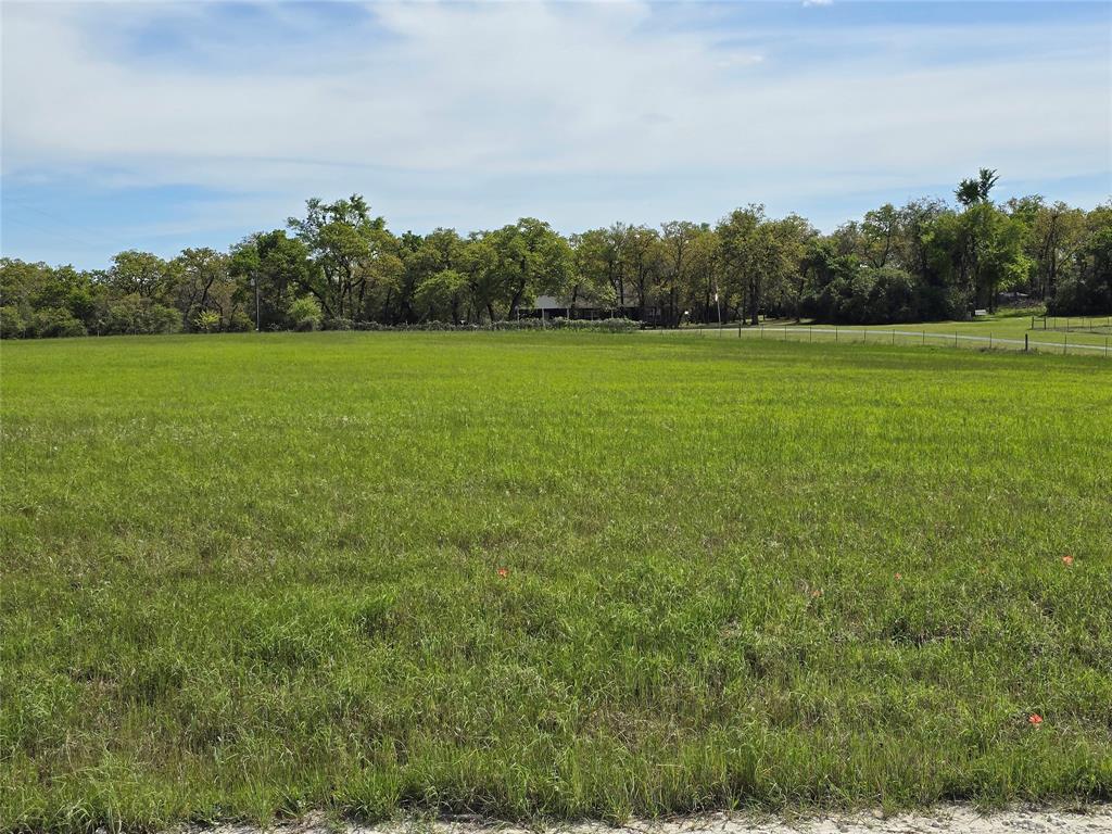 13751 County Rd 470 13751 County Rd 470, Normangee, Texas image 8