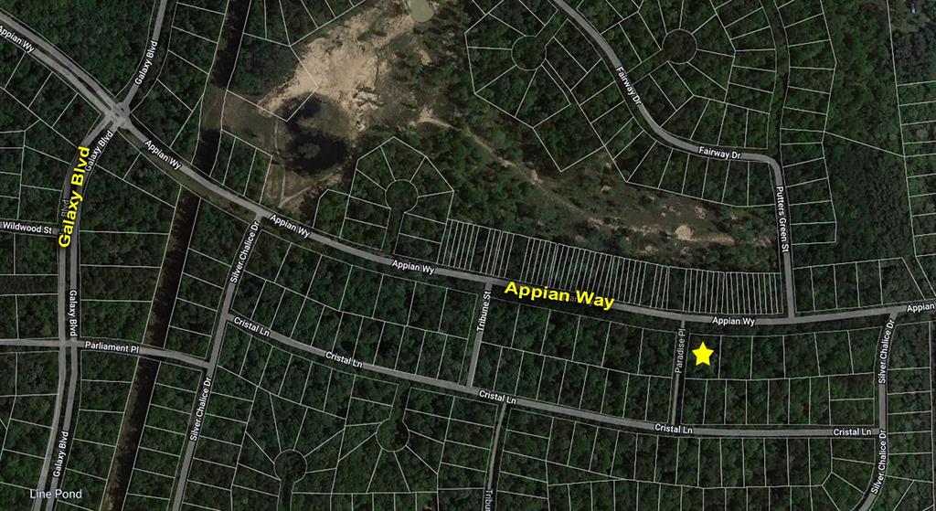 Lot 1 Appian Way, New Caney, Texas image 3